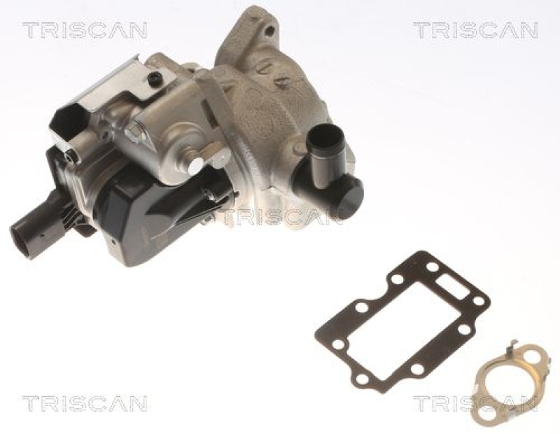 TRISCAN AGR-Ventil