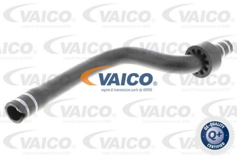 VAICO Radiator Hose Q+, original equipment manufacturer quality