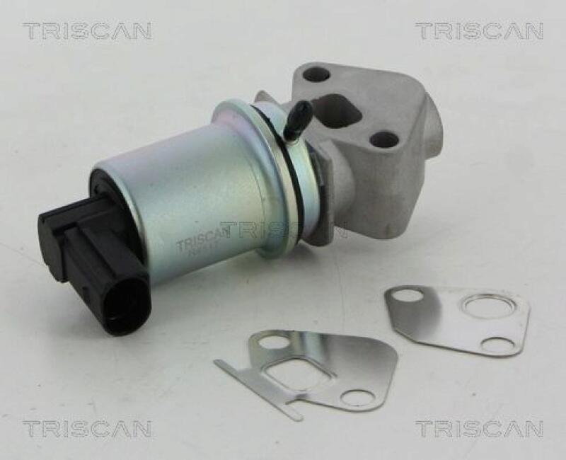 TRISCAN EGR Valve