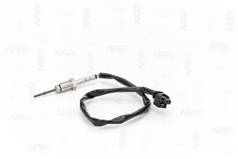 NAP carPARTS Sensor, Abgastemperatur