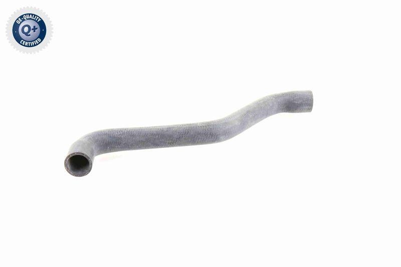 VAICO Radiator Hose Q+, original equipment manufacturer quality