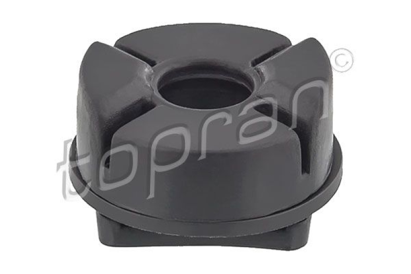 TOPRAN Mounting, radiator