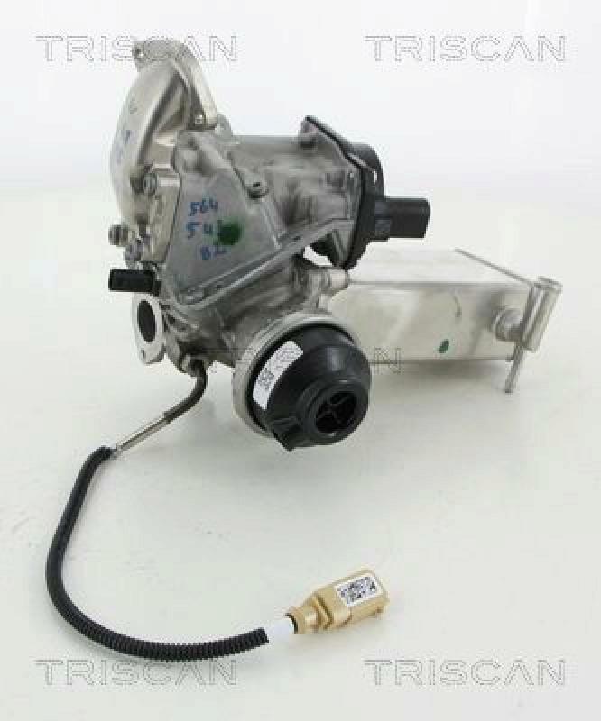 TRISCAN AGR-Ventil 8813 29068