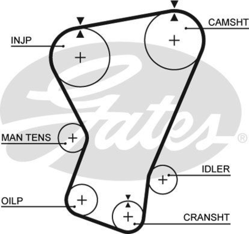 GATES Timing Belt PowerGrip®