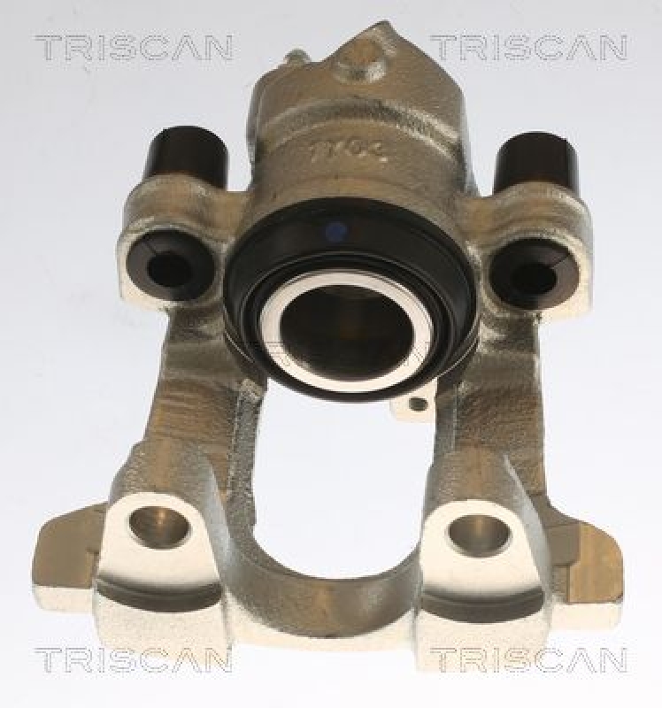 TRISCAN Bremssattel