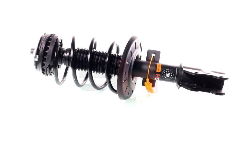 Komplett Sto&szlig;d&auml;mpfer Federbein Satz Vorne links rechts passend f&u...