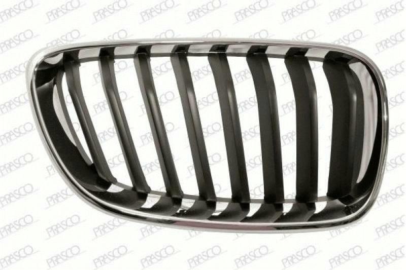 Radiator Grille