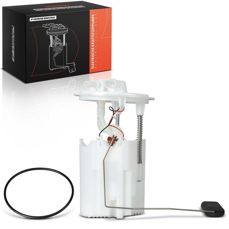 Frankberg Kraftstoffpumpe