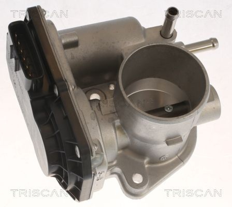 TRISCAN Throttle Body