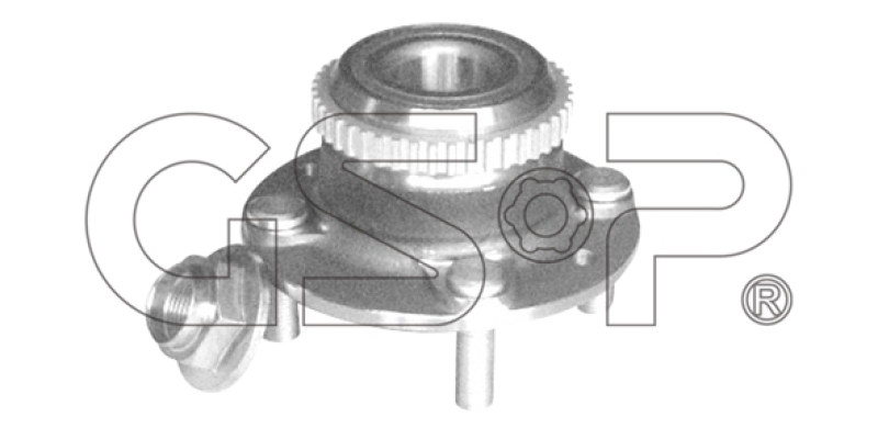 GSP Radlagersatz