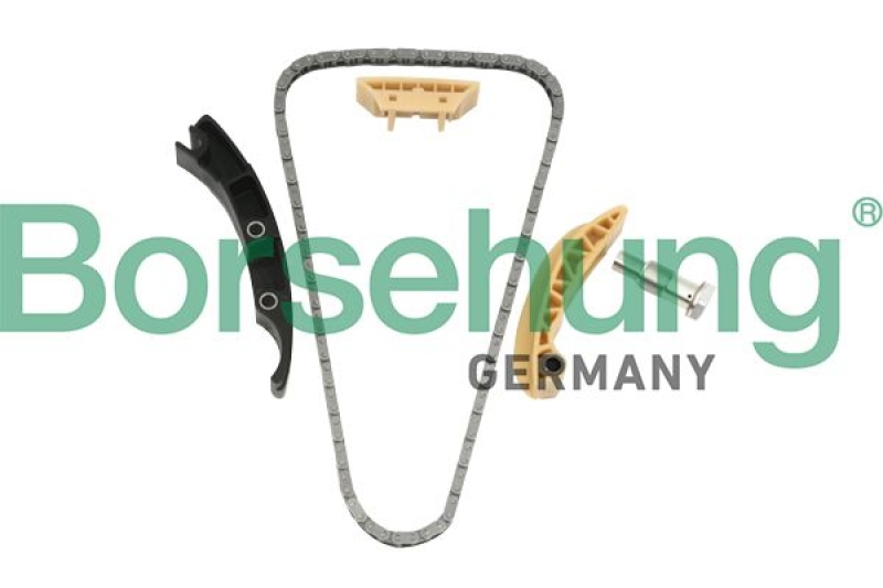 Borsehung Timing Chain Kit