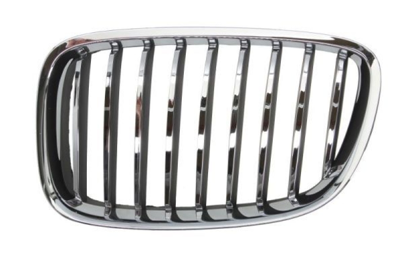 BLIC Radiator Grille