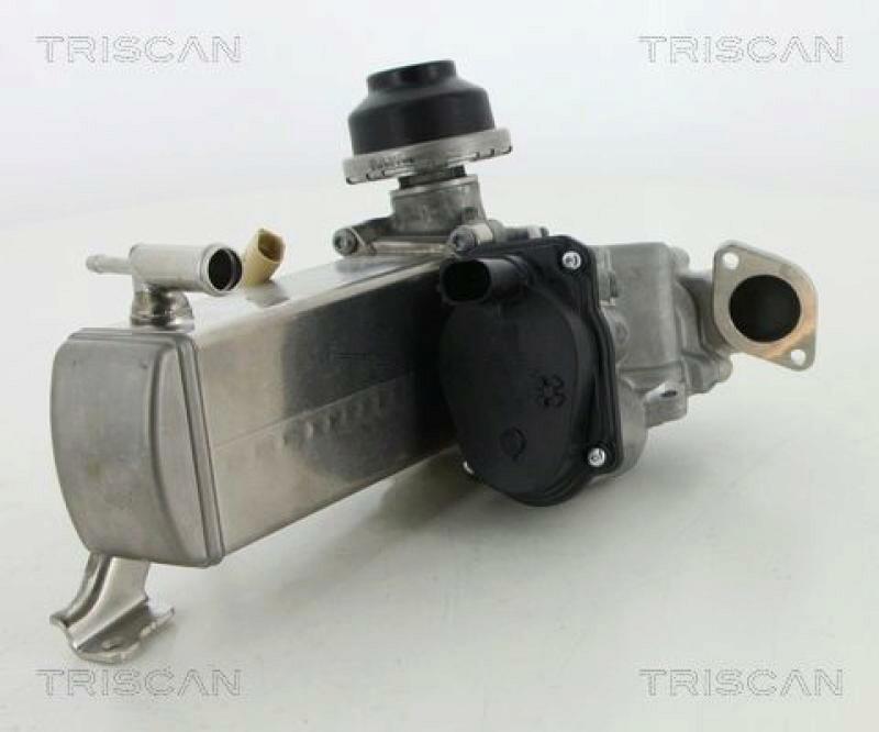TRISCAN EGR Valve