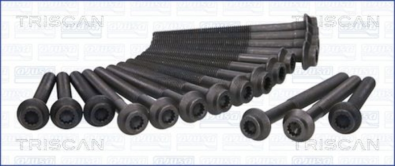 TRISCAN Cylinder Head Bolt Set