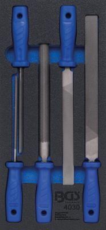 BGS File Set