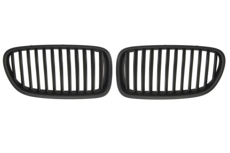 BLIC Radiator Grille