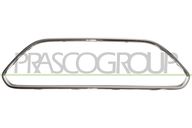 Trim/Protective Strip, bumper Premium