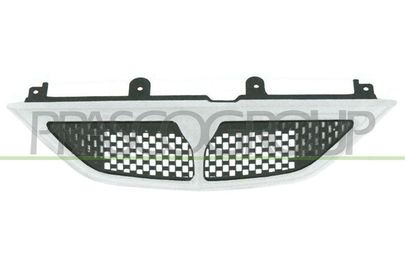 Radiator Grille
