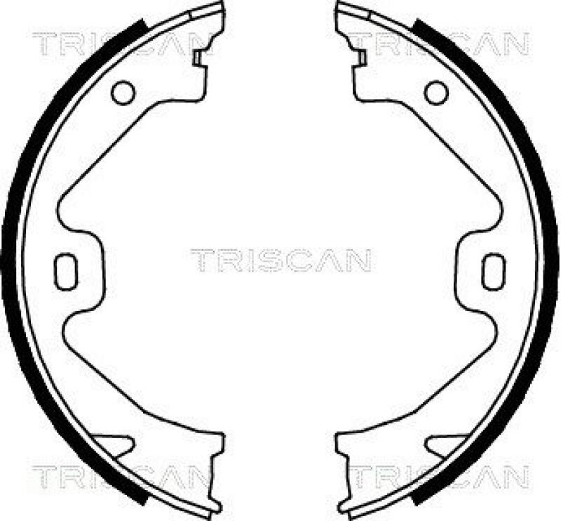 TRISCAN Brake Shoe Set, parking brake