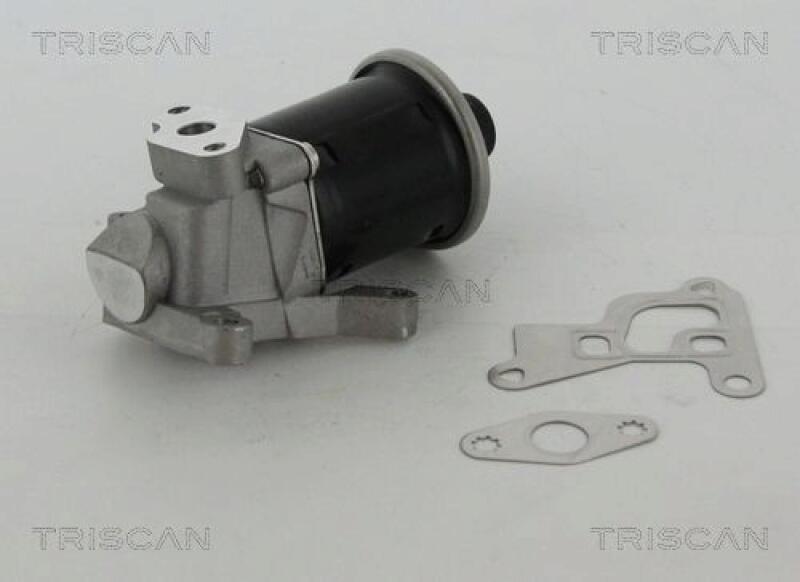 TRISCAN EGR Valve