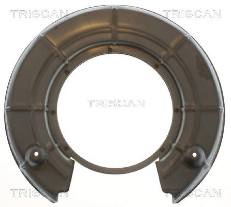 TRISCAN Splash Panel, brake disc