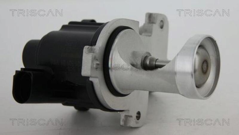 TRISCAN EGR Valve