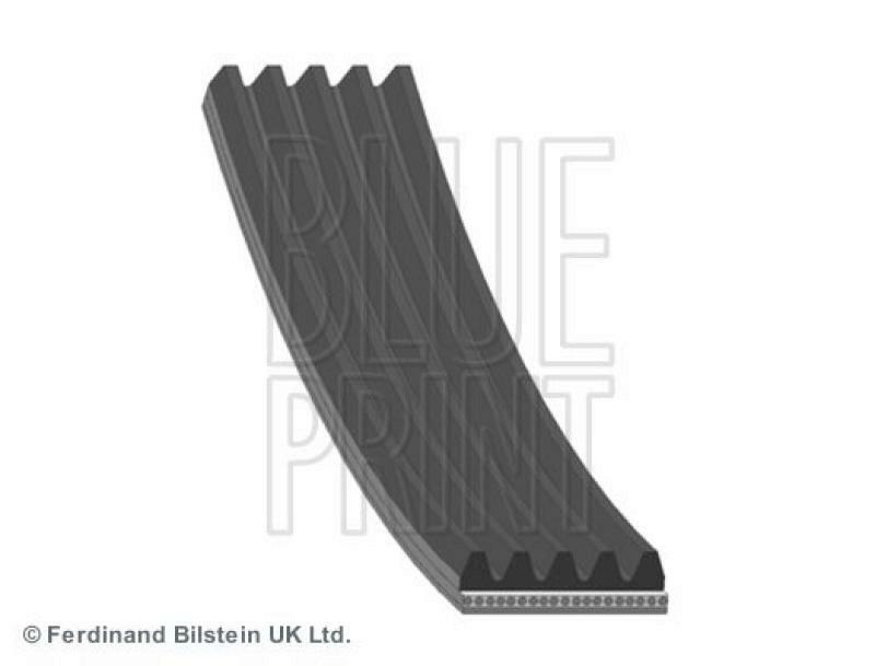 BLUE PRINT V-Ribbed Belts