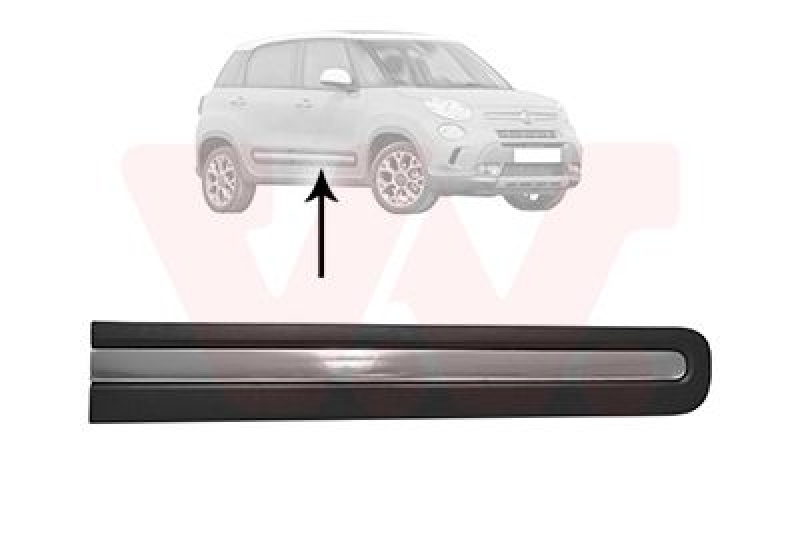 VAN WEZEL Trim/Protective Strip, door