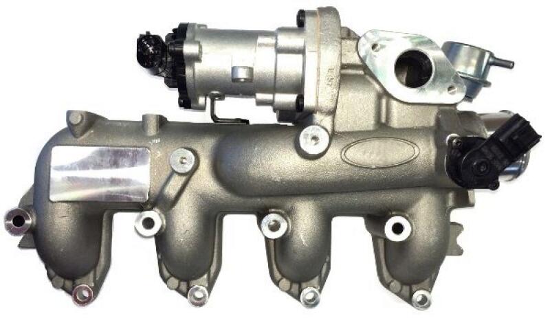 BorgWarner (Wahler) EGR Valve