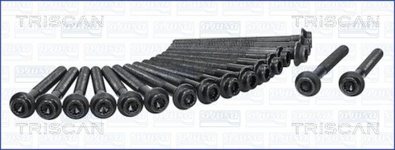 TRISCAN Cylinder Head Bolt Set