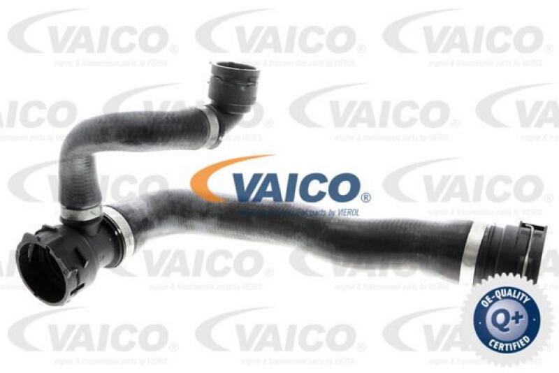 VAICO Radiator Hose Q+, original equipment manufacturer quality