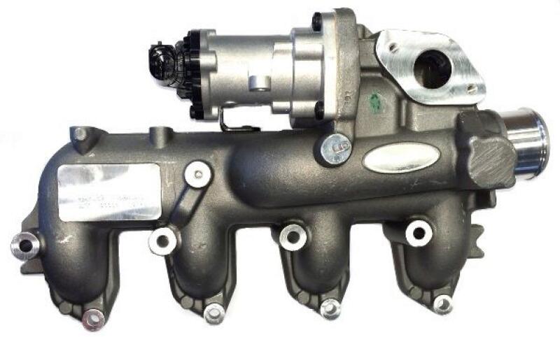 BorgWarner (Wahler) AGR-Ventil