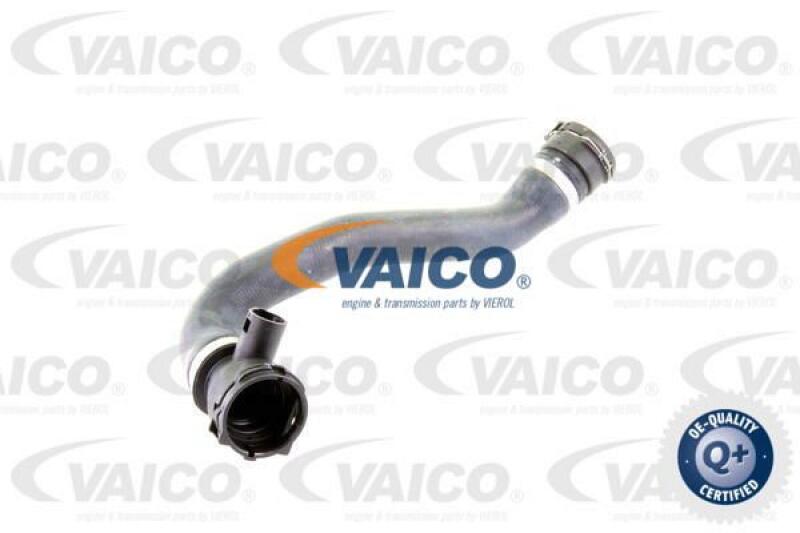 VAICO Radiator Hose Q+, original equipment manufacturer quality