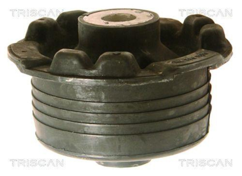 TRISCAN Mounting, axle beam
