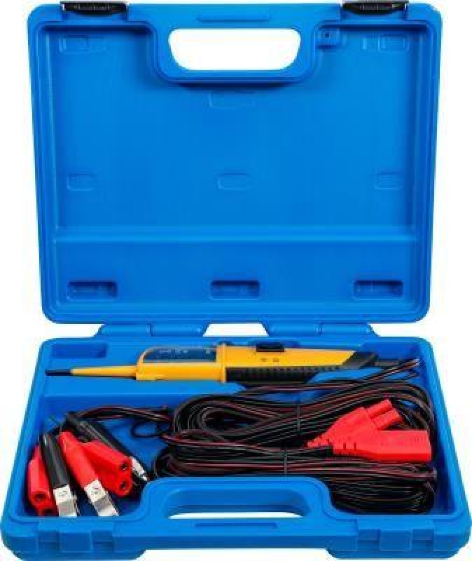 BGS Voltage Detector
