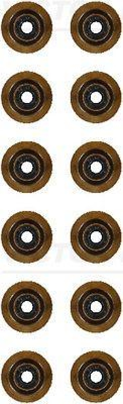 VICTOR REINZ Seal Set, valve stem
