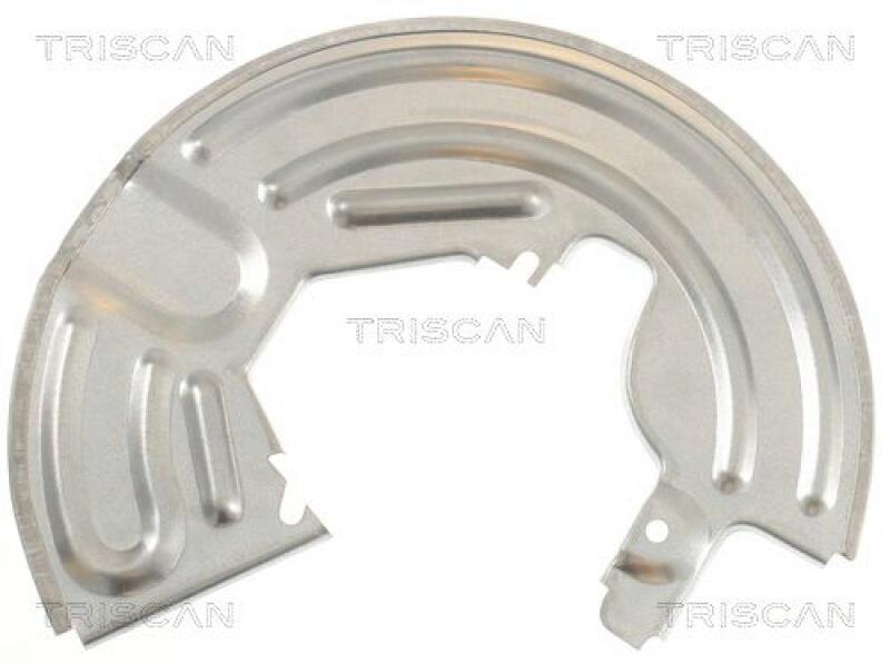 TRISCAN Splash Panel, brake disc