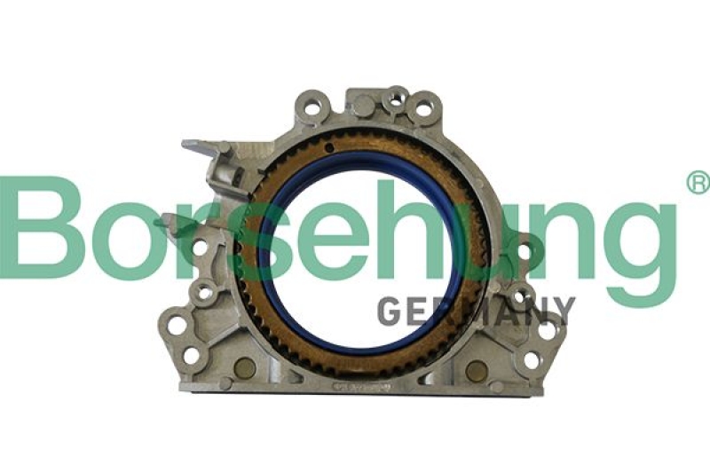 Borsehung Shaft Seal, crankshaft