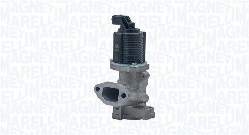 MAGNETI MARELLI EGR Valve