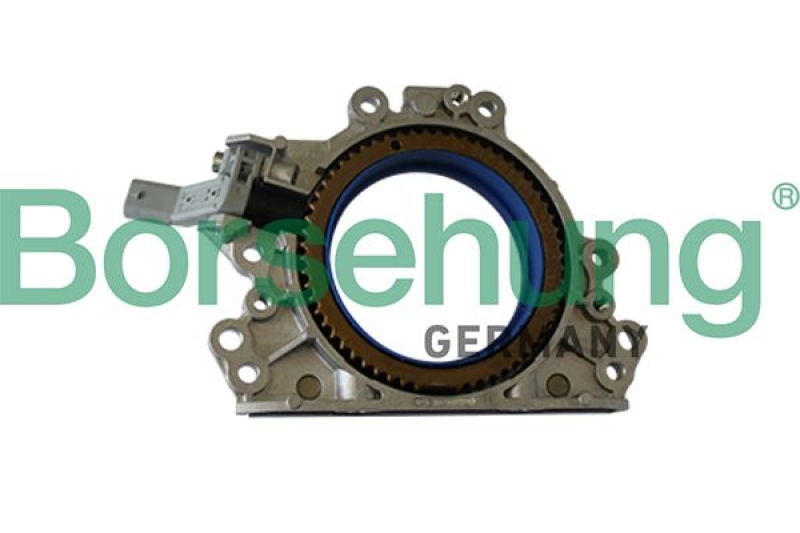 Borsehung Shaft Seal, crankshaft