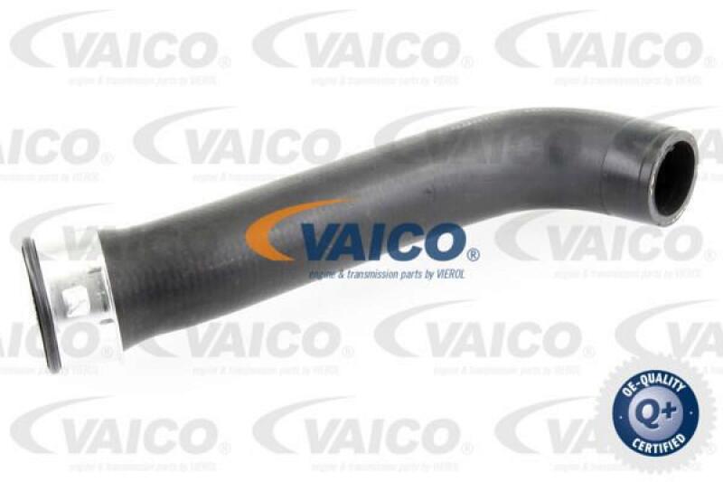 VAICO Charger Air Hose Q+, original equipment manufacturer quality