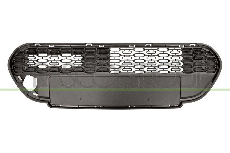 Radiator Grille