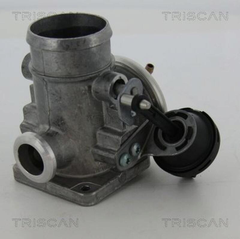 TRISCAN AGR-Ventil 8813 29300