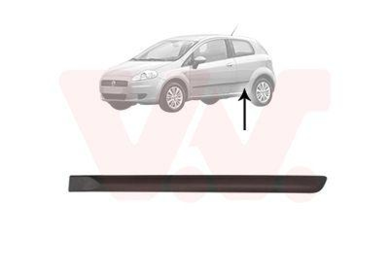VAN WEZEL Trim/Protective Strip, door