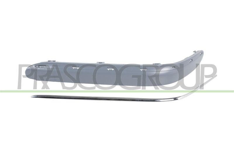 Trim/Protective Strip, bumper Premium