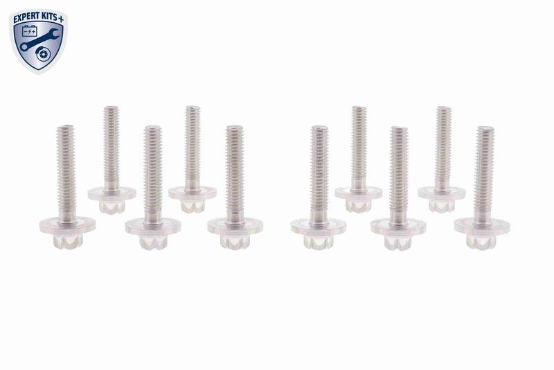 VAICO Screws Assortment EXPERT KITS +