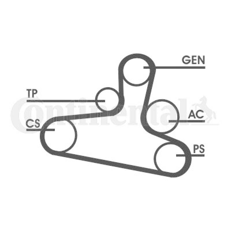 CONTITECH V-Ribbed Belt Set