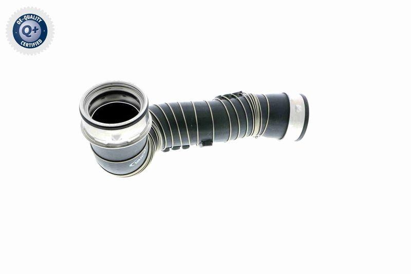 VAICO Ladeluftschlauch Q+, Erstausr&uuml;sterqualit&auml;t V30-1777