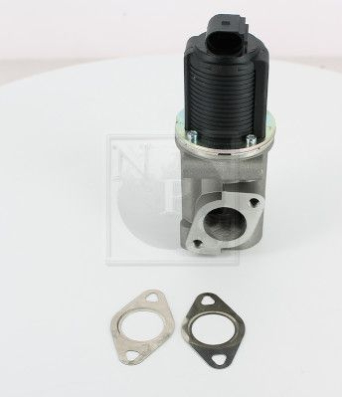 NPS EGR Valve