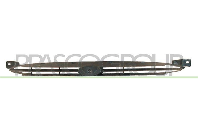 Radiator Grille